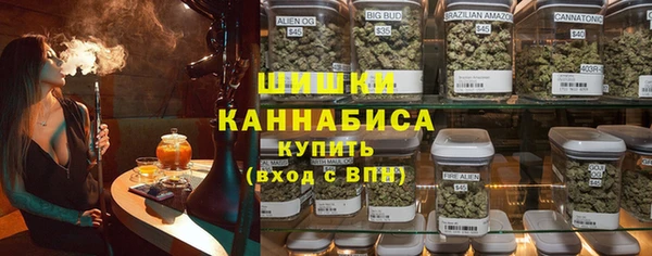 дмт Арсеньев